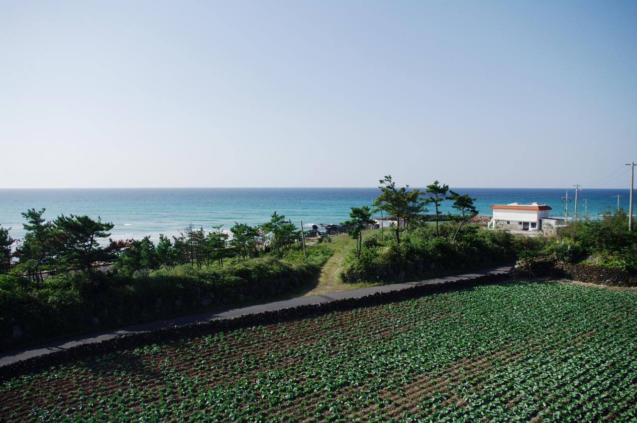 6pm Pension Jeju Bagian luar foto